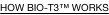 shapeimage_5_link_0